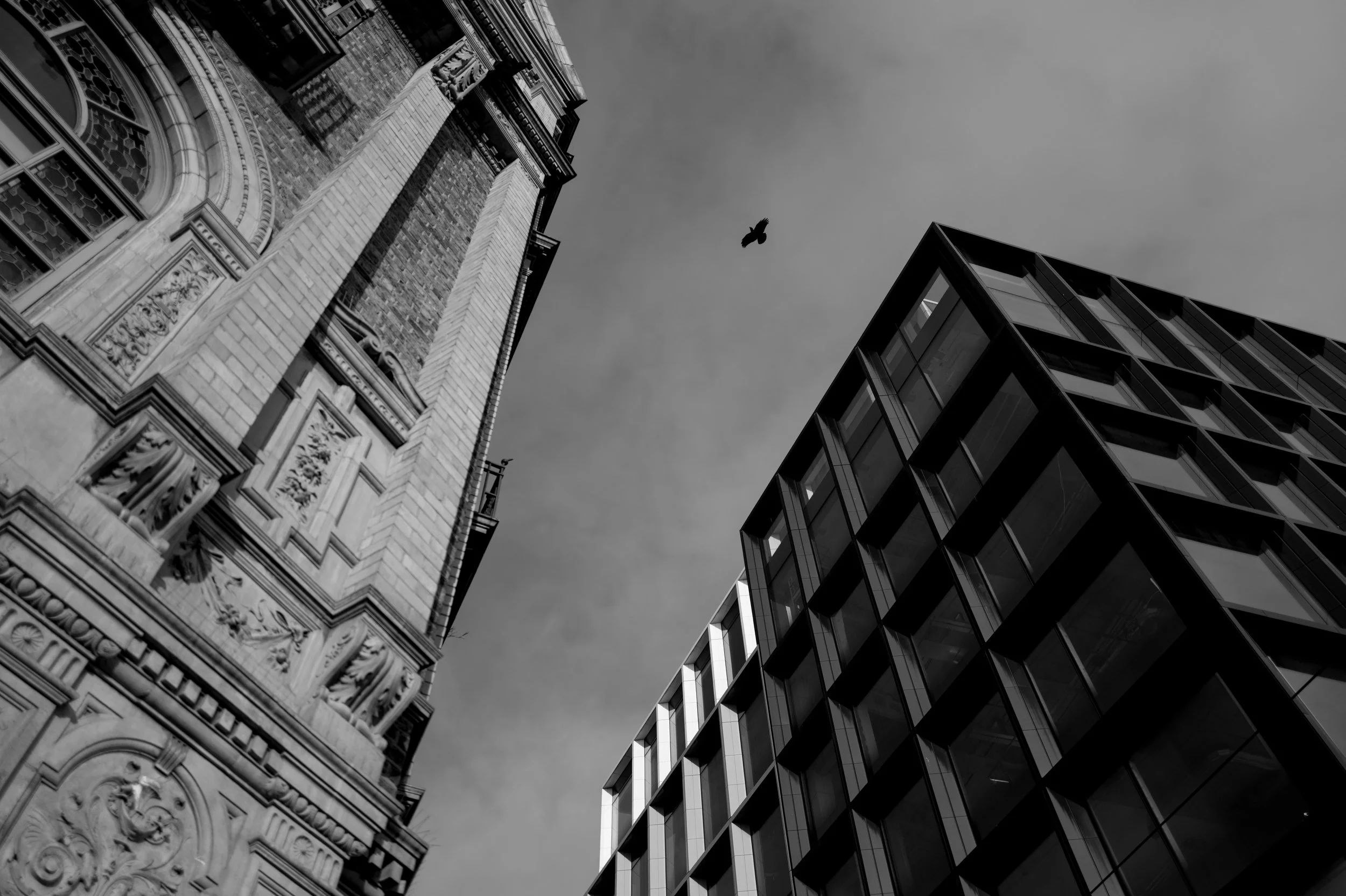 Q3Mono0007 ISO 200.JPG