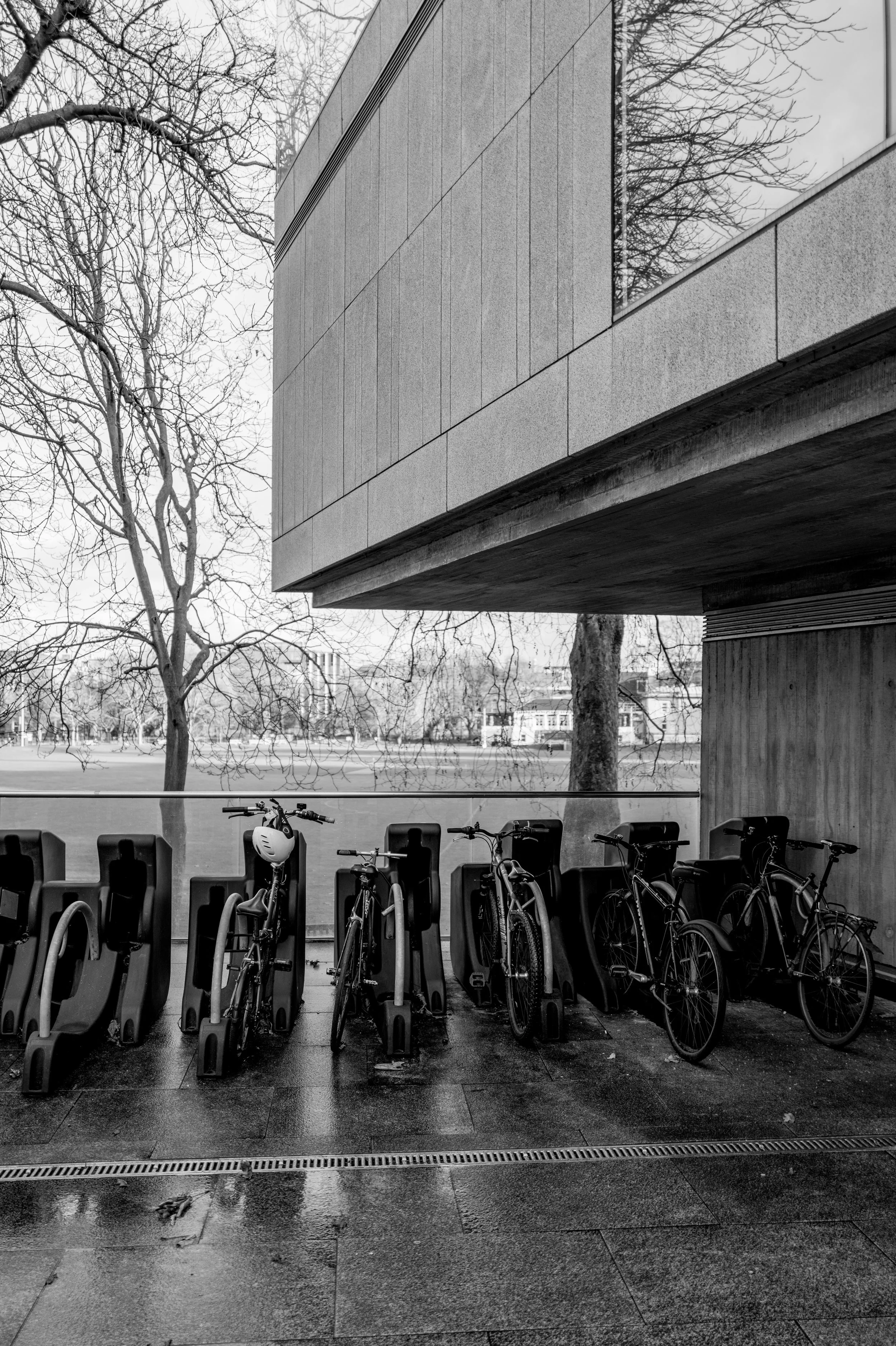 Q3Mono0057 ISO 200.JPG