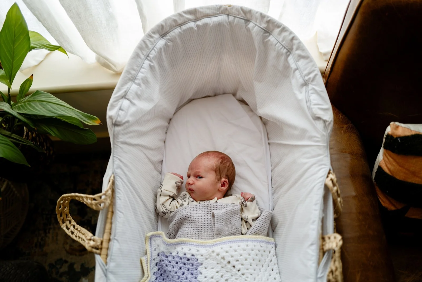 A baby lying in a white bassinet with a blanket, surrounded by a green plant, near a window with sheer curtains, and a brown wooden piece of furniture.