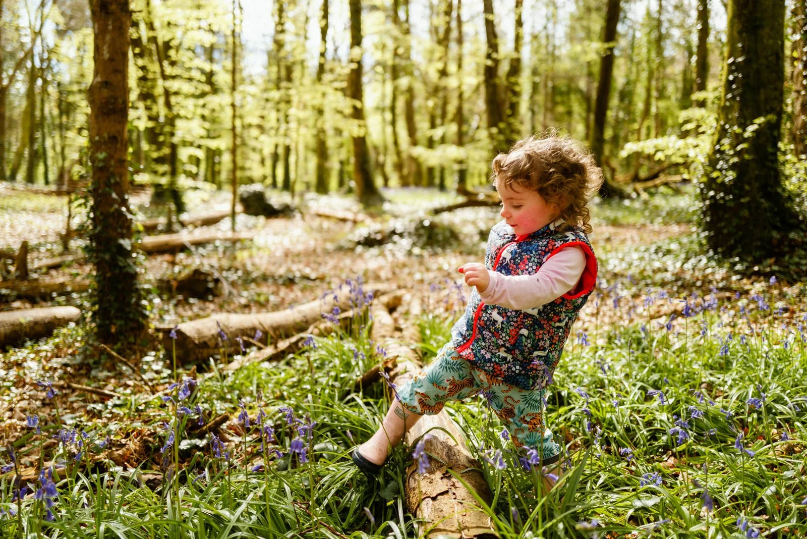 A young child with curly hair playing in a forest filled with trees and purple flowers, sitting on fallen logs.