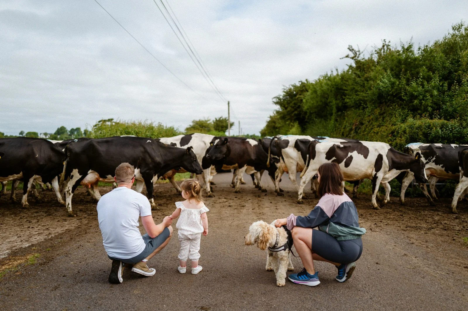 A man and a woman with a girl and a dog in front of a herd of cows on a farm or rural area with overcast sky and greenery.