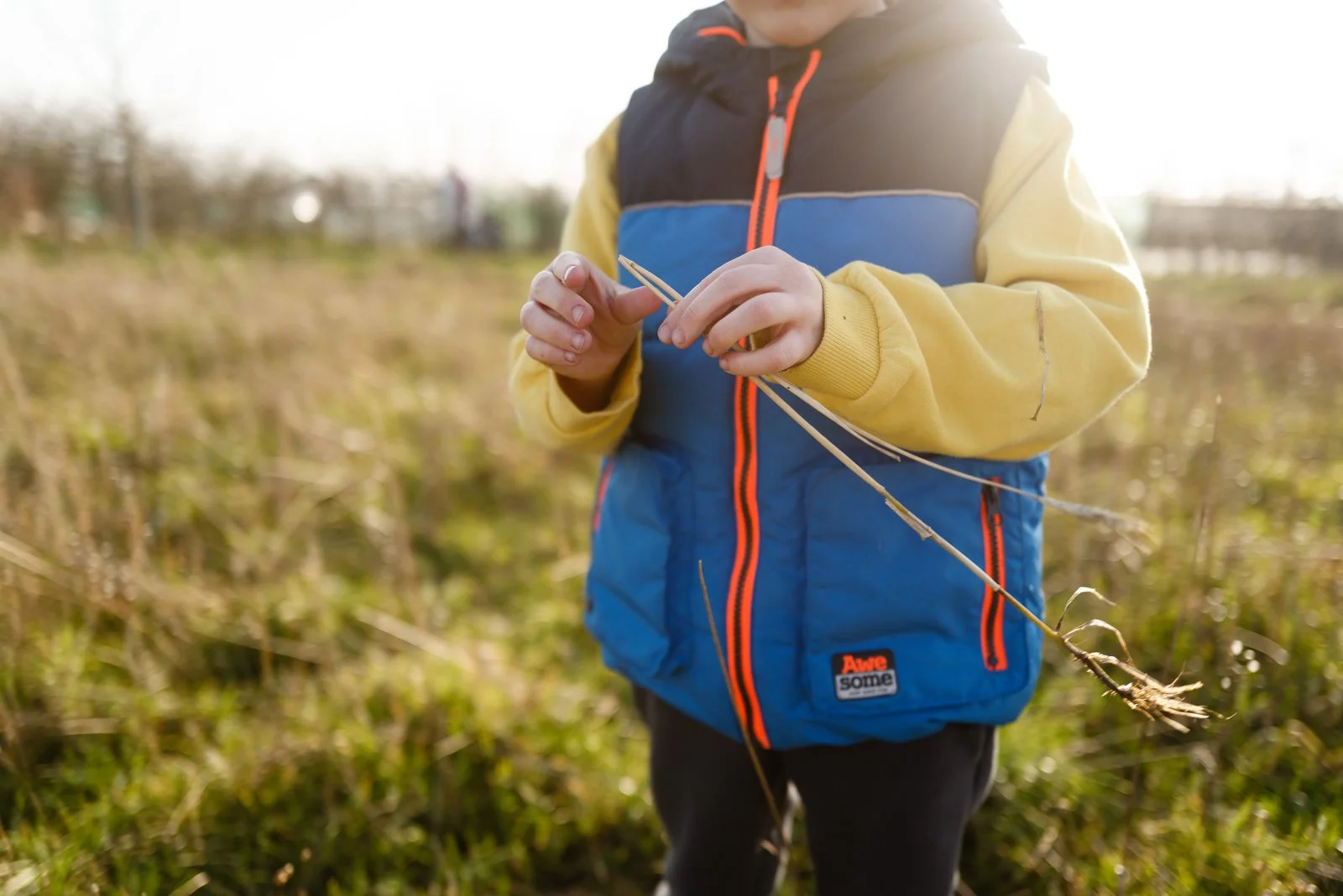 A child wearing a blue and yellow jacket is holding a small bundle of dry grass or plants outdoors in a field.