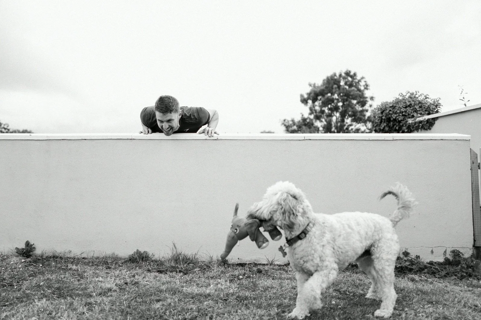A man laughing as he looks over a wall at a dog wearing a toy hat, outside on grass with trees in the background.