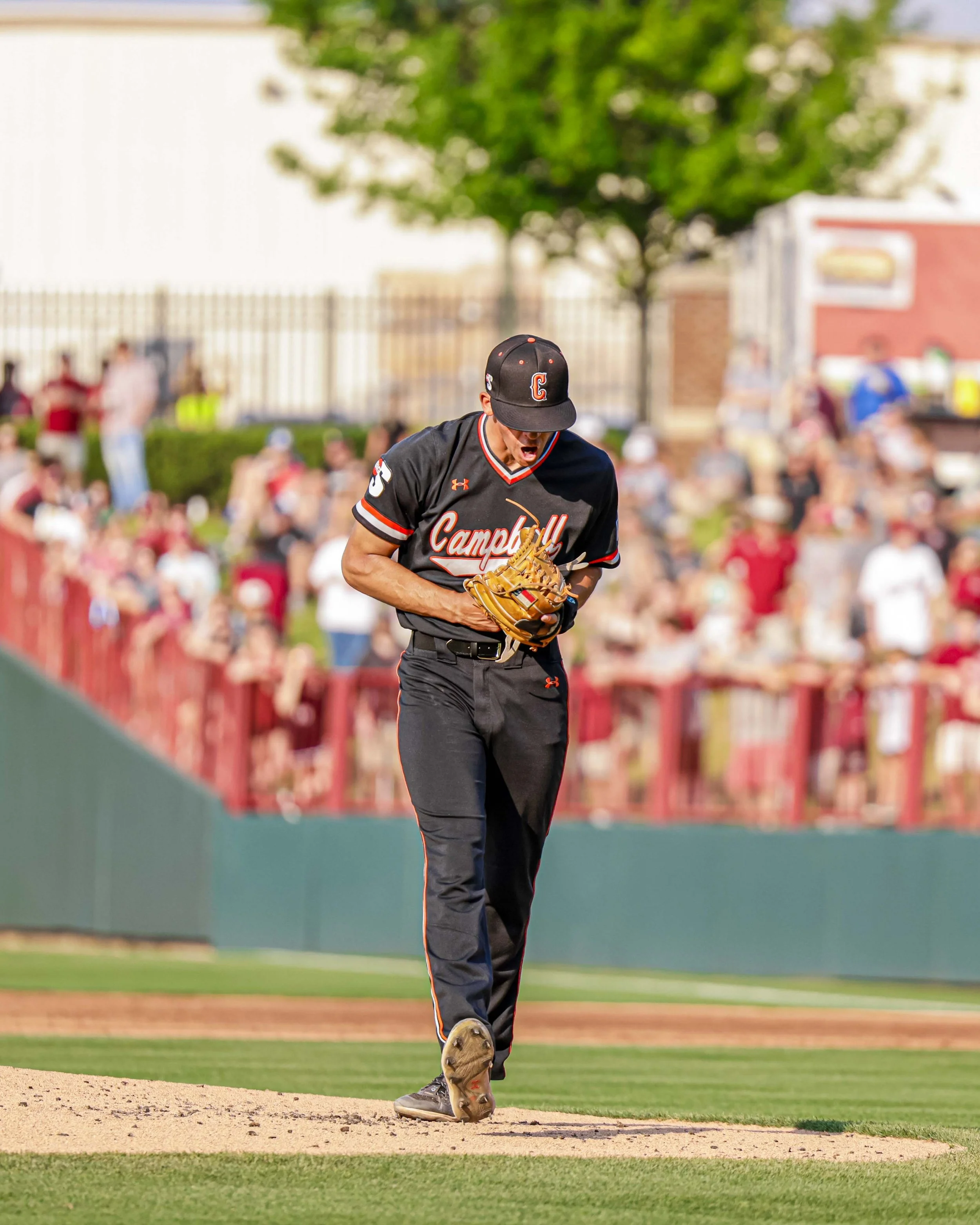 BarbreS_Final_Portfolio_Baseball_Action_Pics-125.JPG