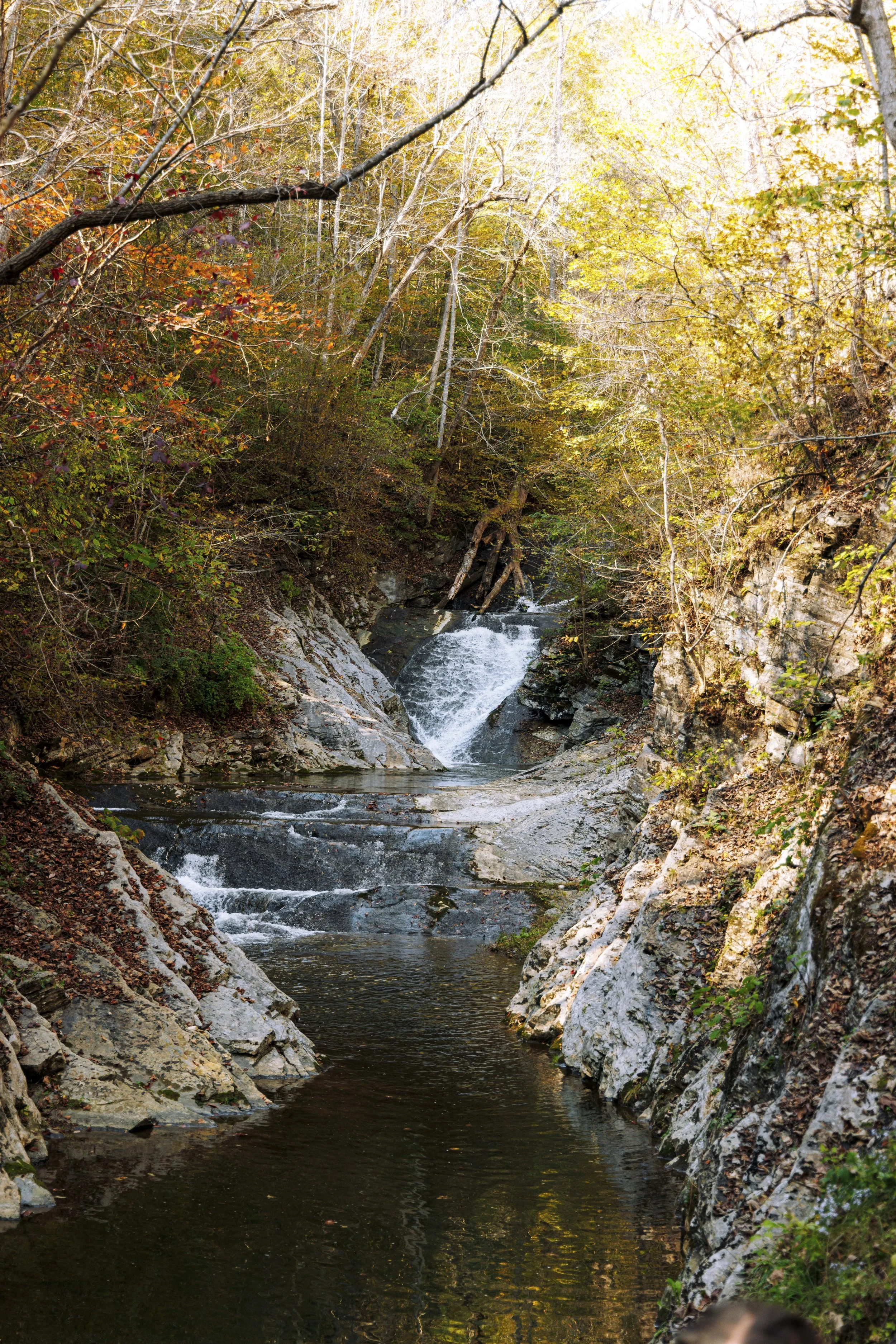 20241012_0964SB.JPG