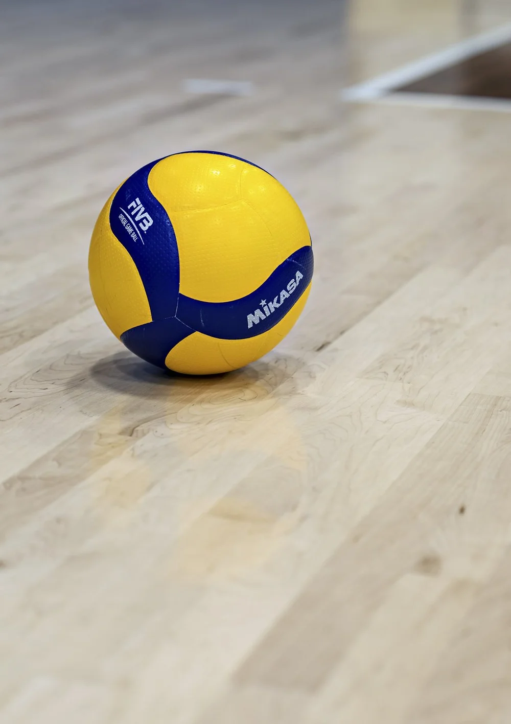 Edmonton Volleyball Association