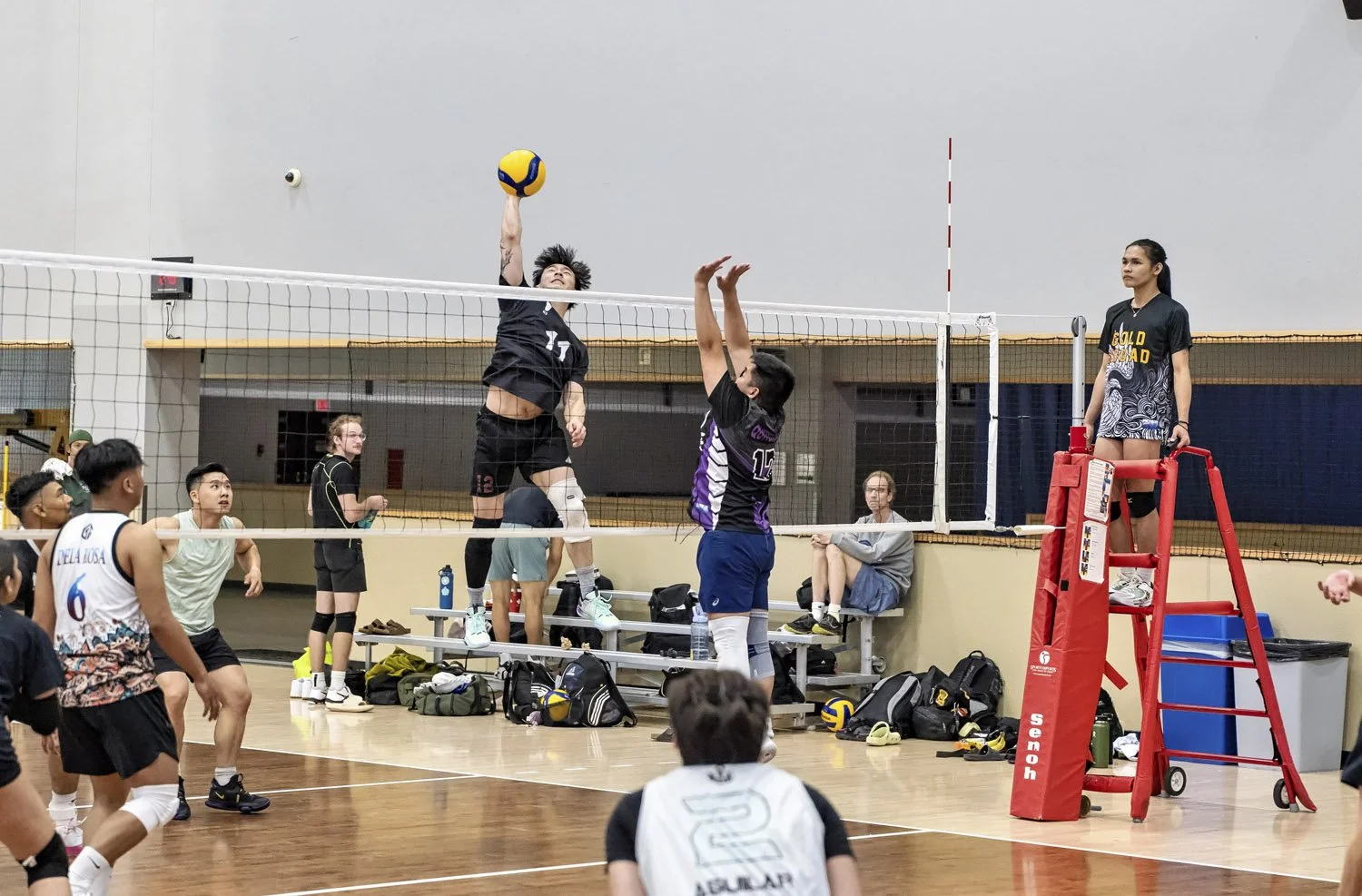 Edmonton Volleyball Association