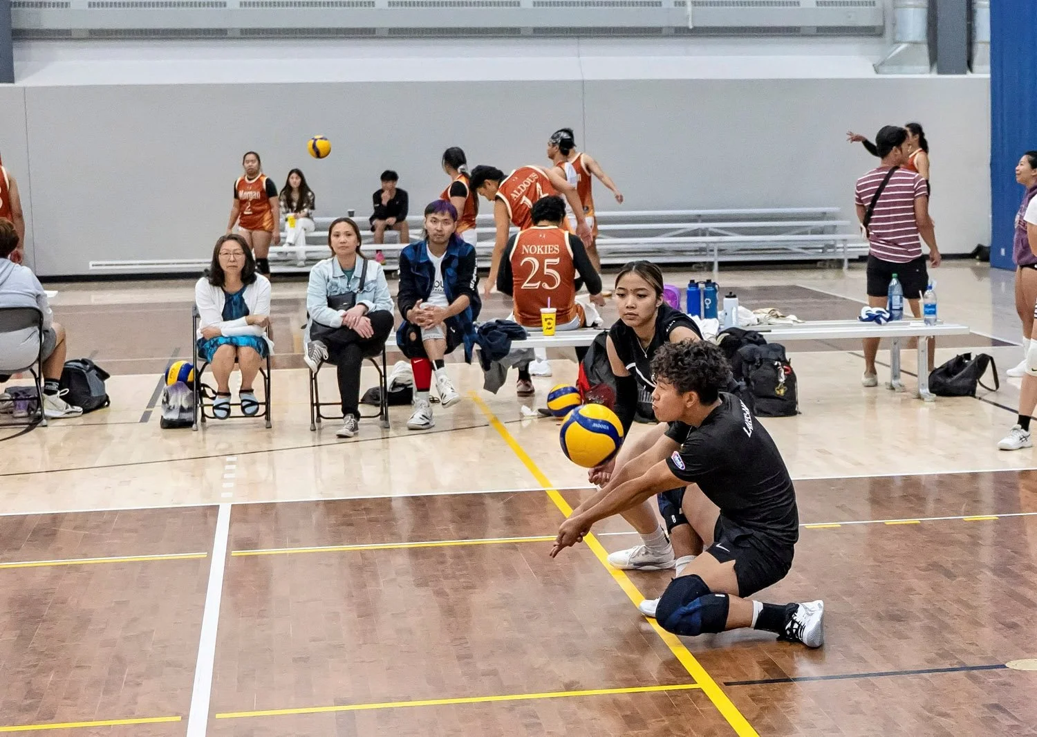 Registration Selection — Edmonton Volleyball Association