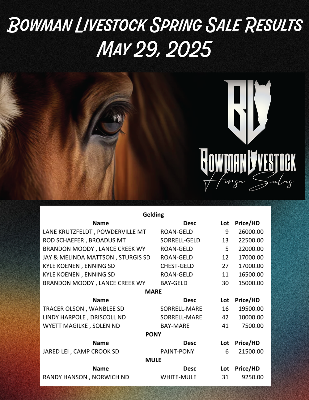 Horse Sales — Bowman Livestock Marketing