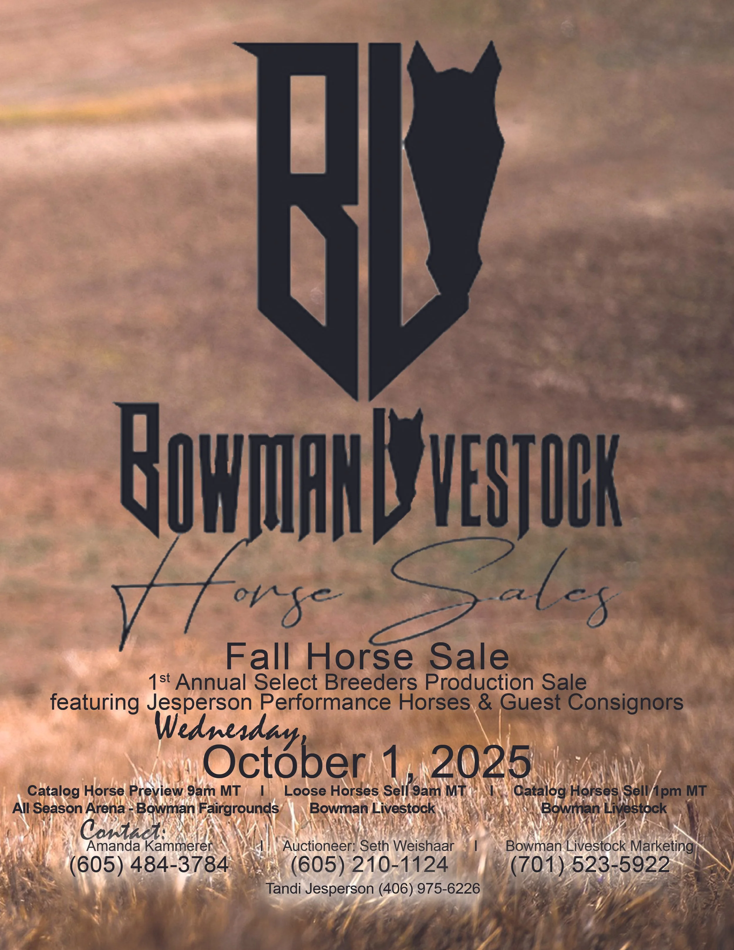 Horse Sales — Bowman Livestock Marketing