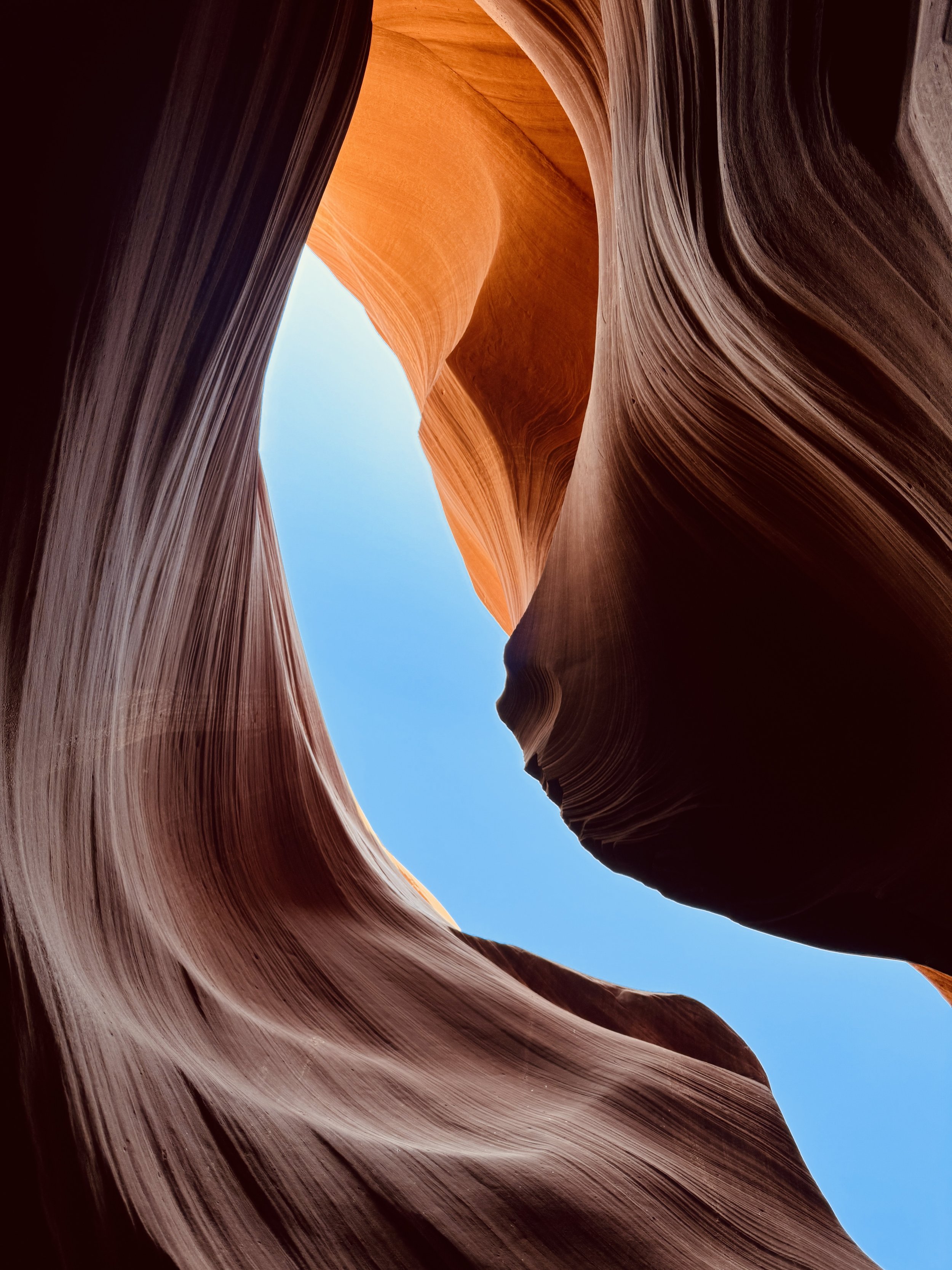 The Descent.JPG