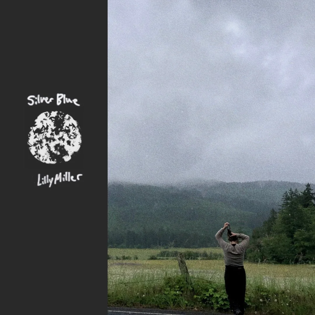 A person standing in a field on a cloudy day, holding a camera and taking a photo of the sky with mountains and trees in the background; a black strip on the left with a logo and the text 'Silver Blue Lilly Miller'.
