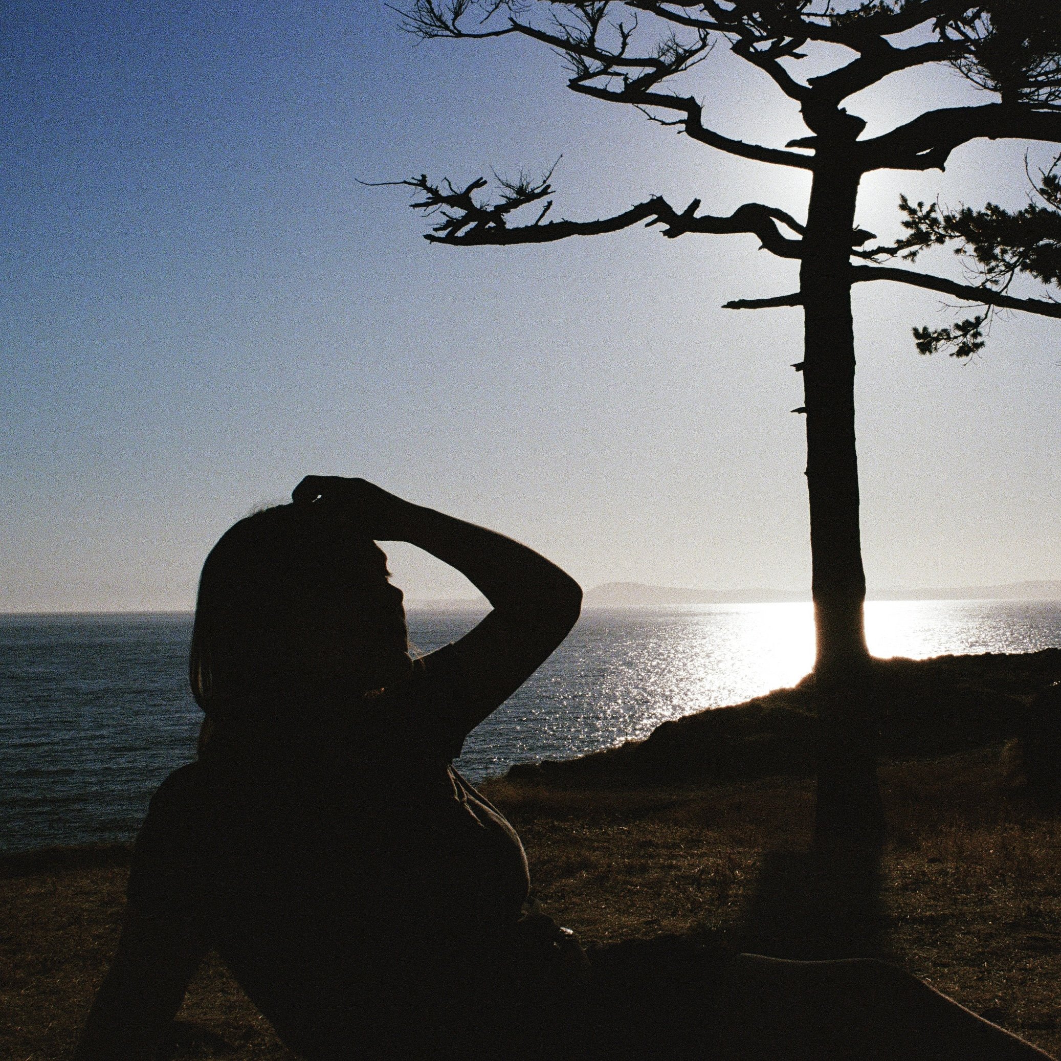 Silhouette of a person sitting on the ground near a tree, with the ocean and sunset in the background.