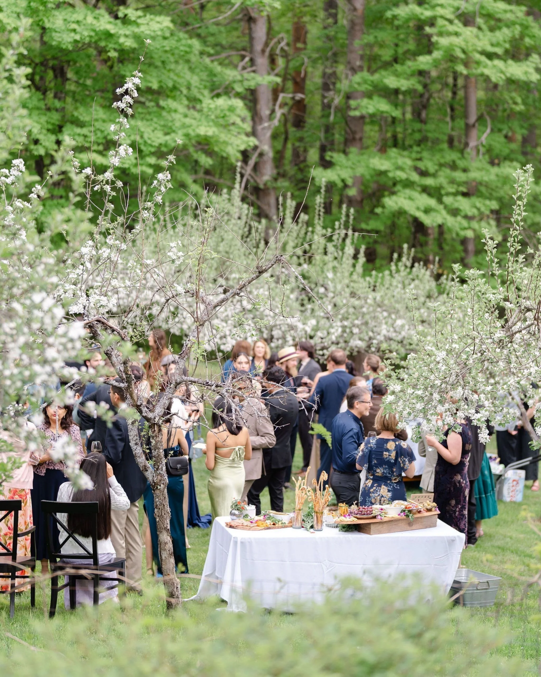 When Maine&rsquo;s landscape is part of your day, everything from the light to the seating chart finds its place in it. Cocktail hour in a blooming orchard on the groom&rsquo;s family&rsquo;s Farmington property &mdash; trees framing the gathering, a
