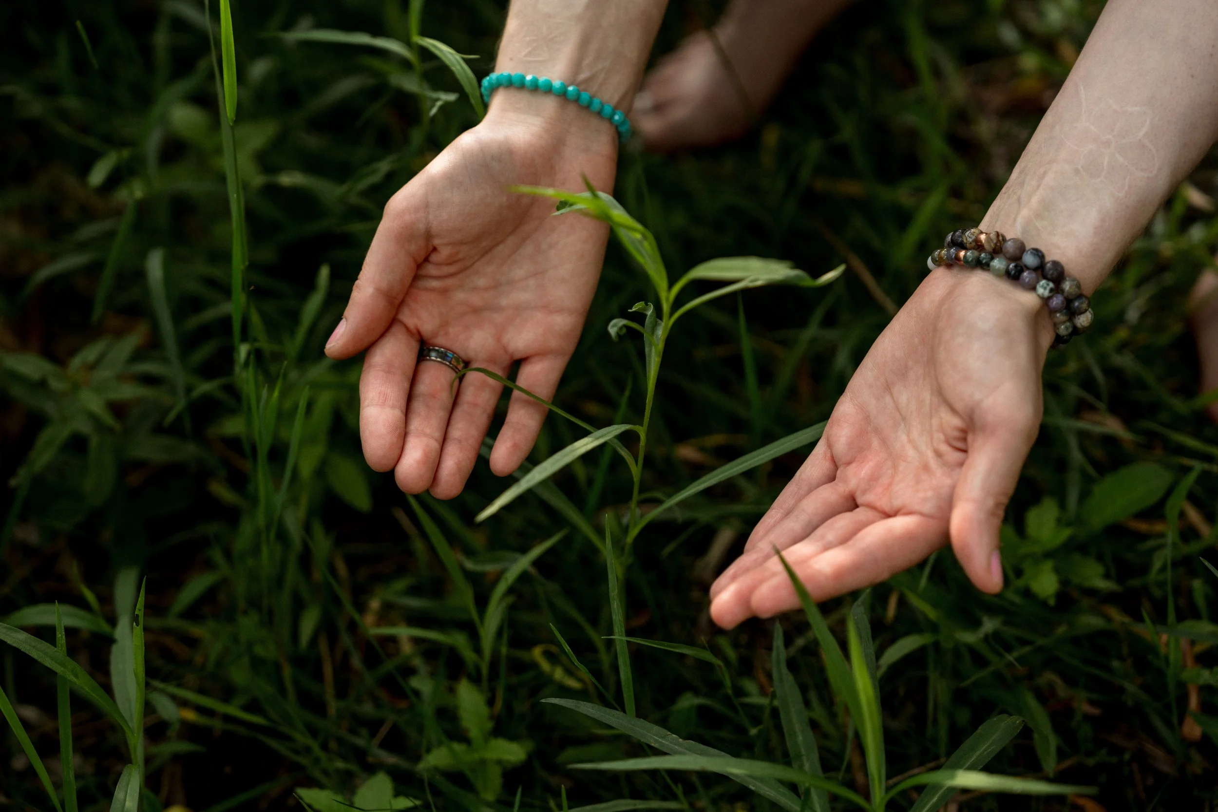 Anna's hands gently cupped around a newly growing green plant.