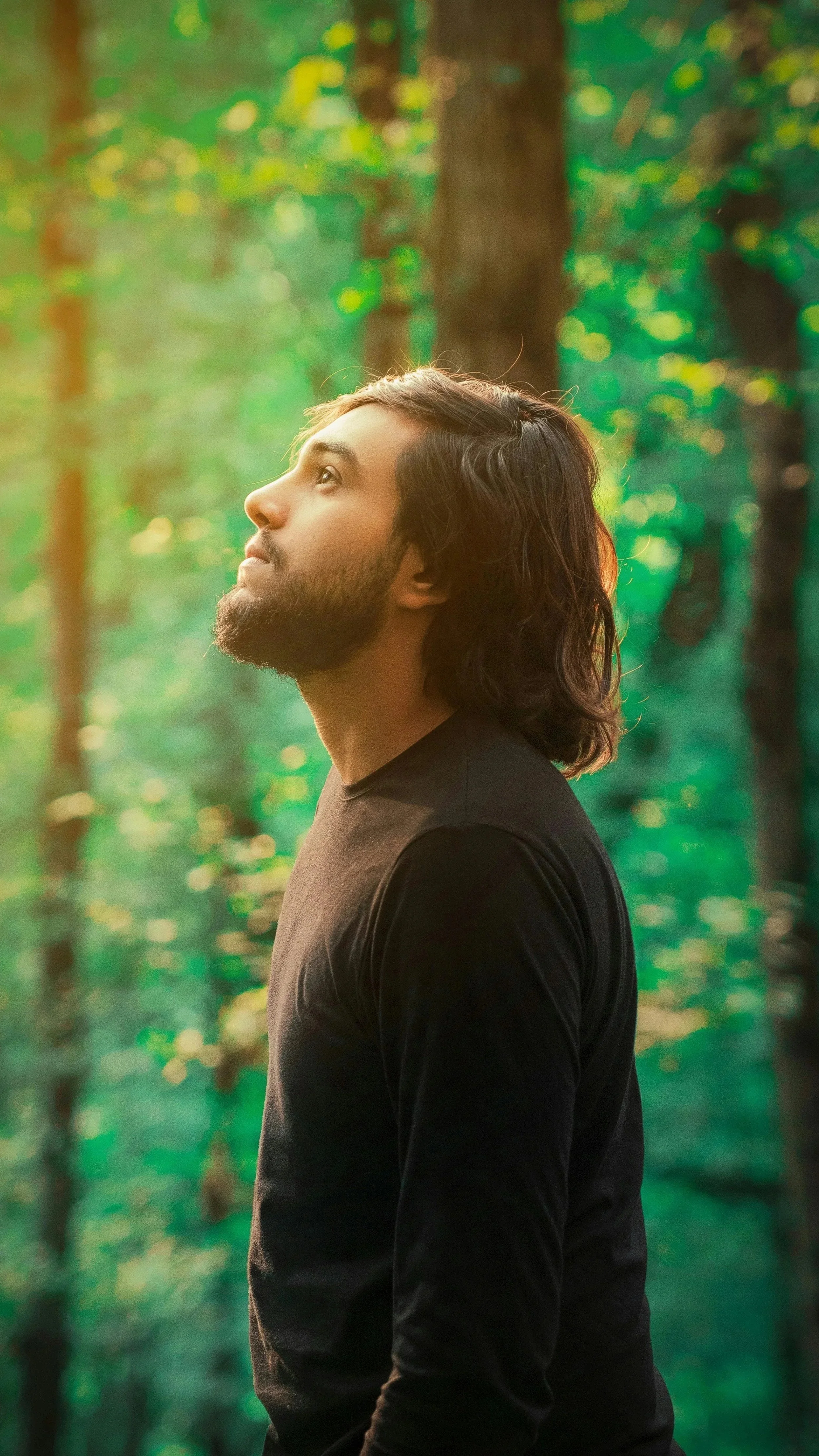 A man standing in a forest, looking up hopefully, his face backlit by soft sunbeams.