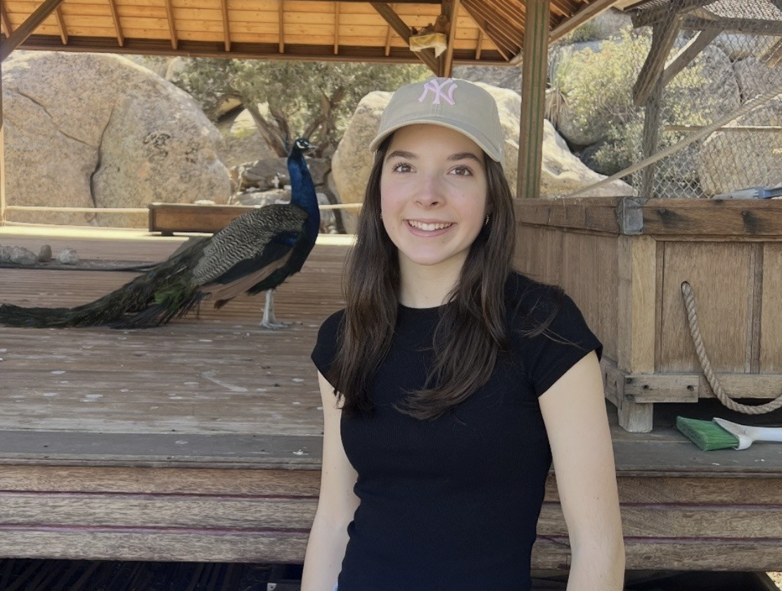 youth in action! Ruby shares her YAP experience 