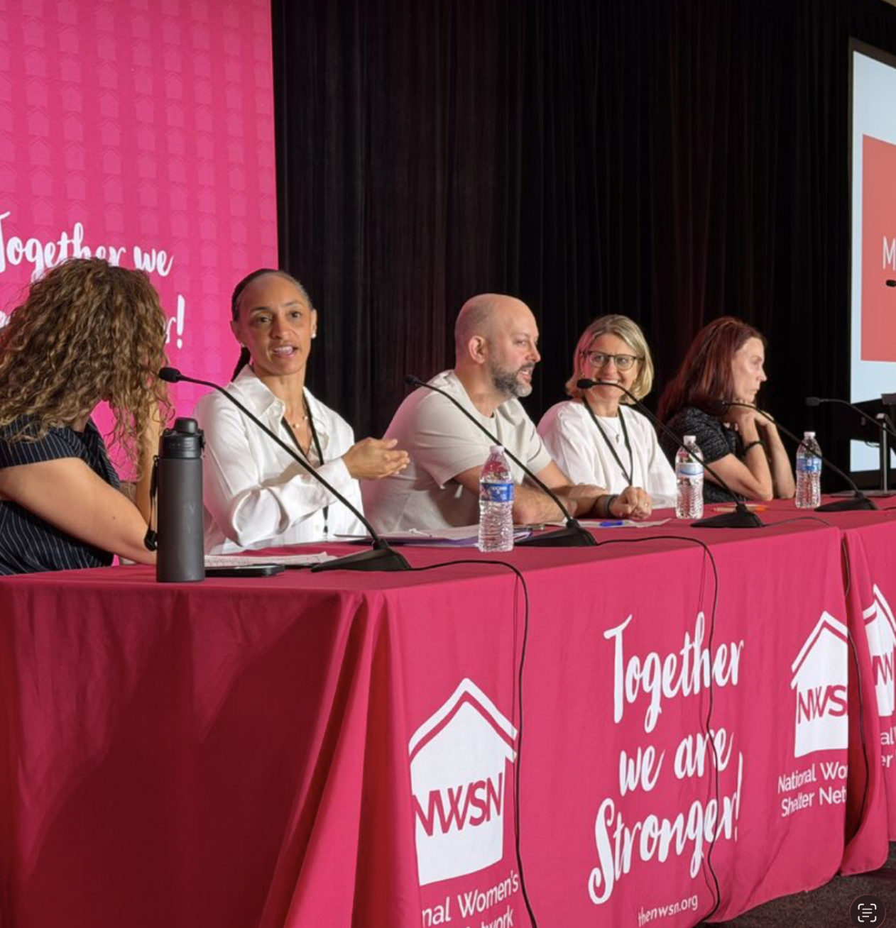 it takes all of us: reflections from the national women's shelter network conference