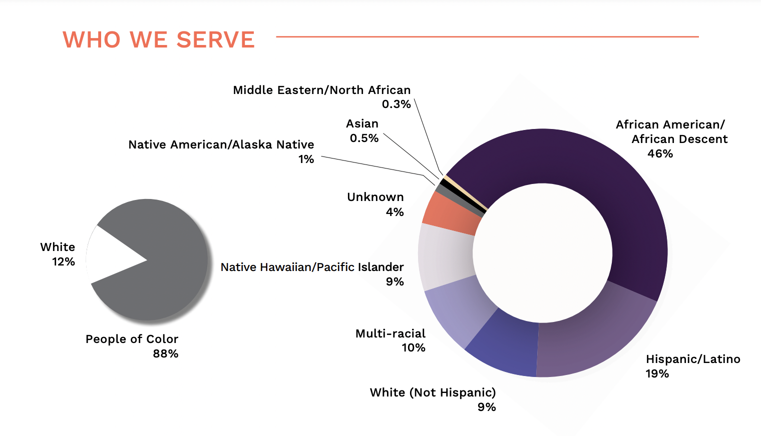 a chart illustrating the demographics of the families served by Mary's Place. The graphic shows that 88% of the families served are people of color.