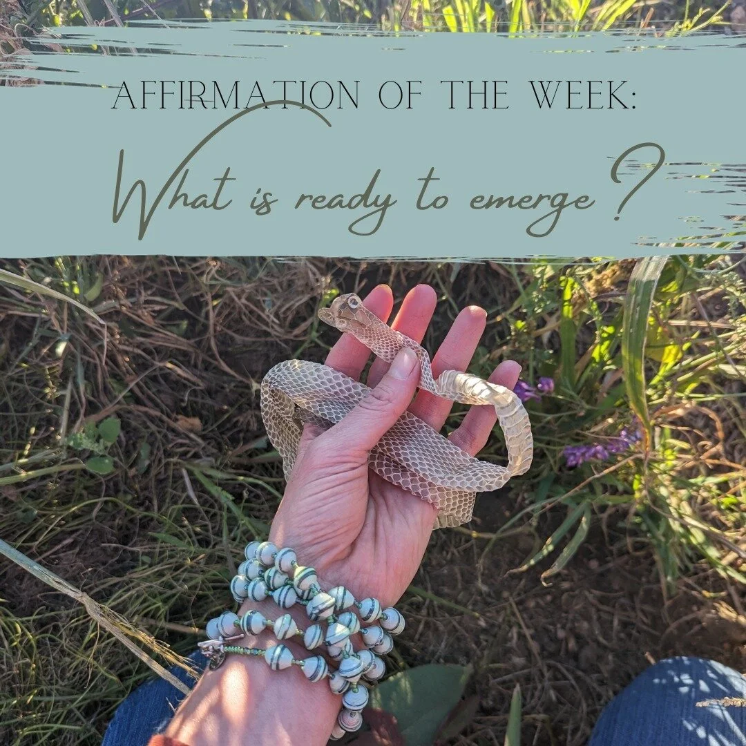 What if everything hard in your life right now &ndash; every block, every confusion &ndash; is an indication that something better is about to emerge? 

What if &ndash; when confronted by the hard thing &ndash; instead of banging your head against it