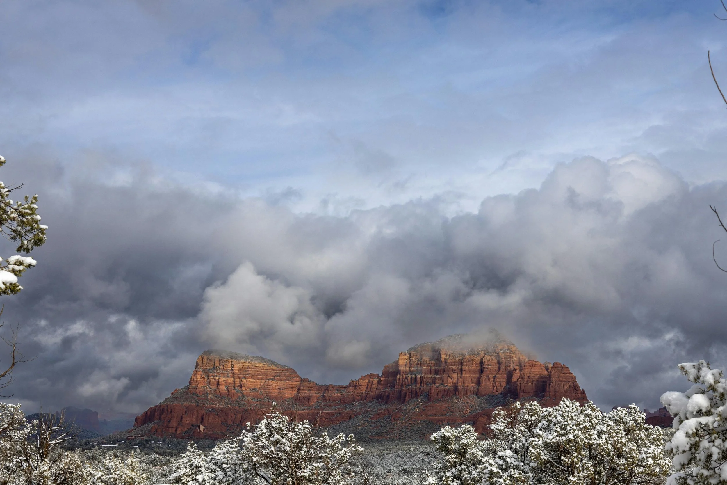 Peaceful Arizona desert scene during winter, featuring muted tones and gentle light