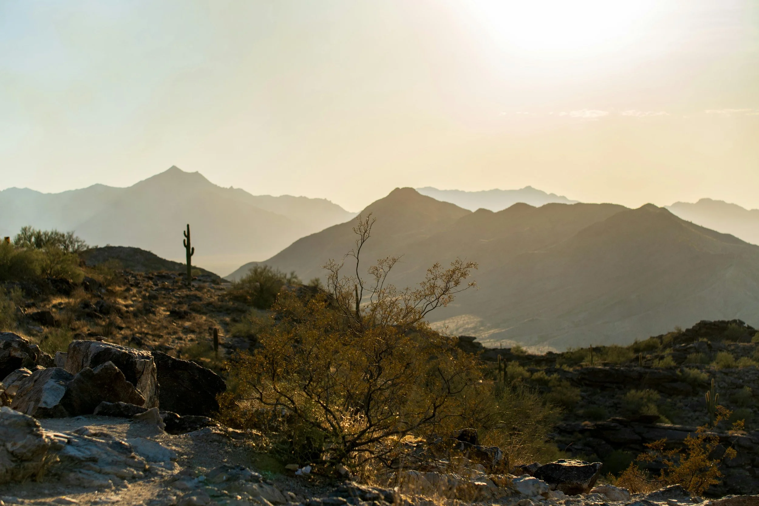Arizona desert sunrise symbolizing emotional healing mental health wellness and OCD recovery support