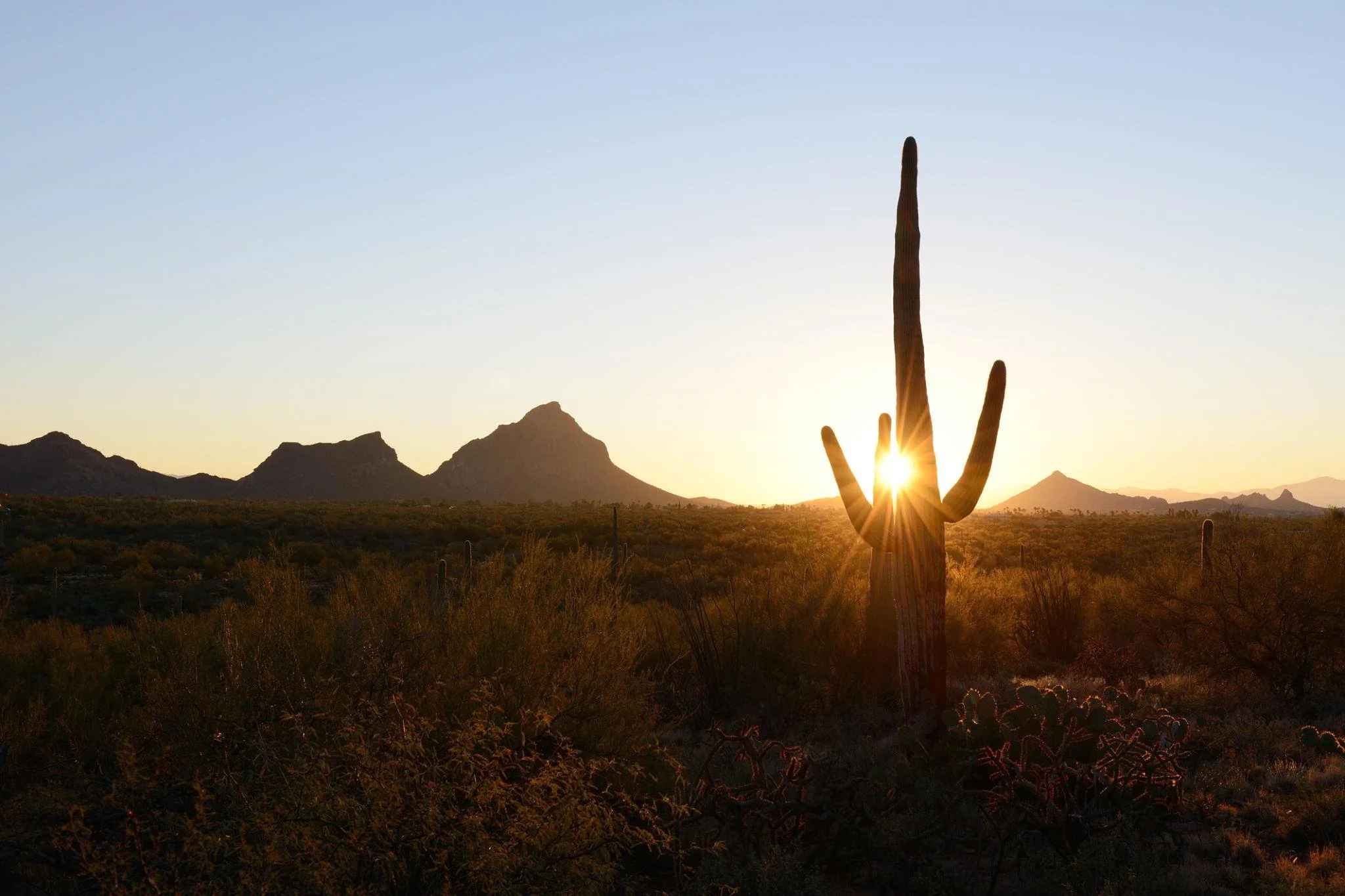 Arizona desert sunrise symbolizing hope through effective therapy for OCD.