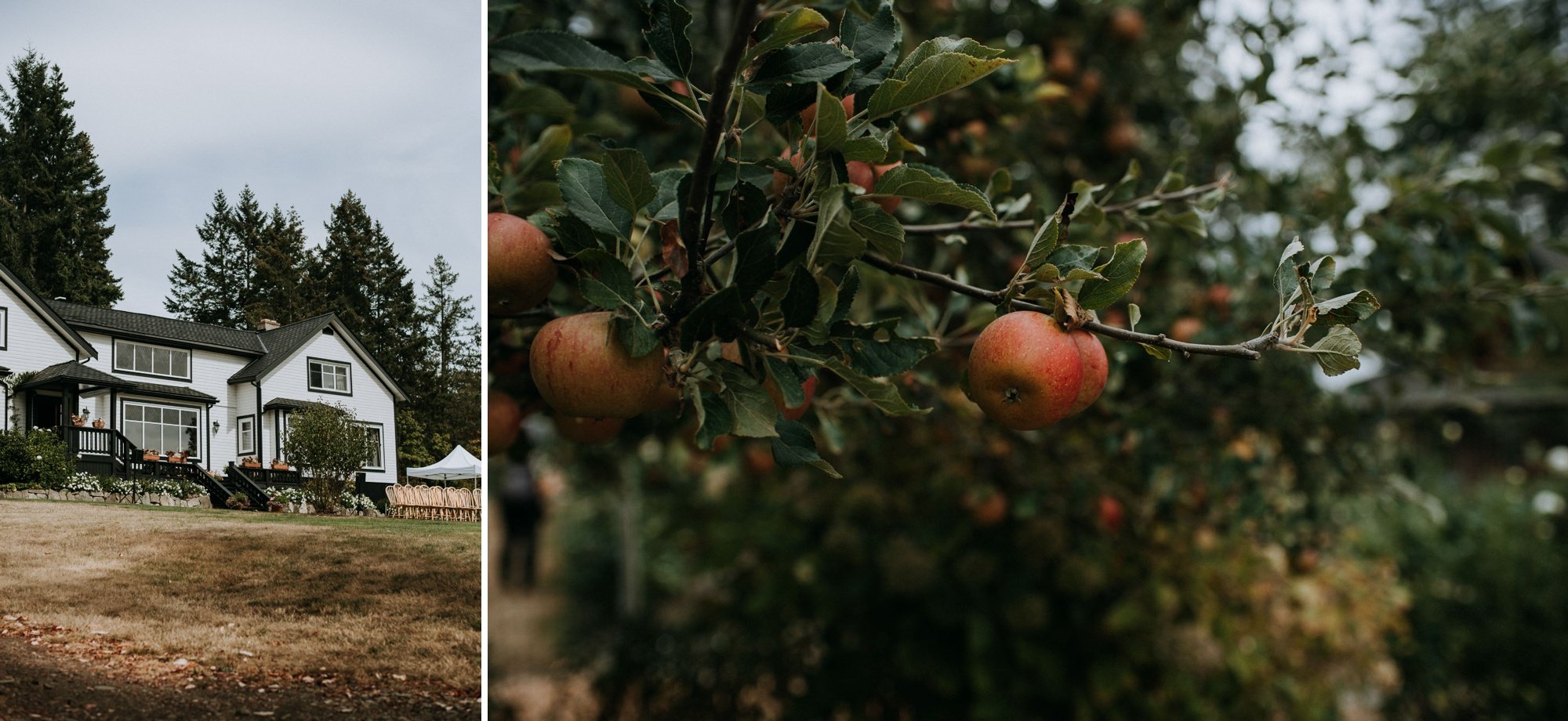 Overbury Resort Thetis Island Wedding Venue