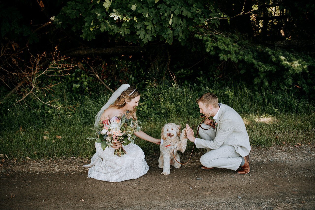 bride and groom with dog family portrait