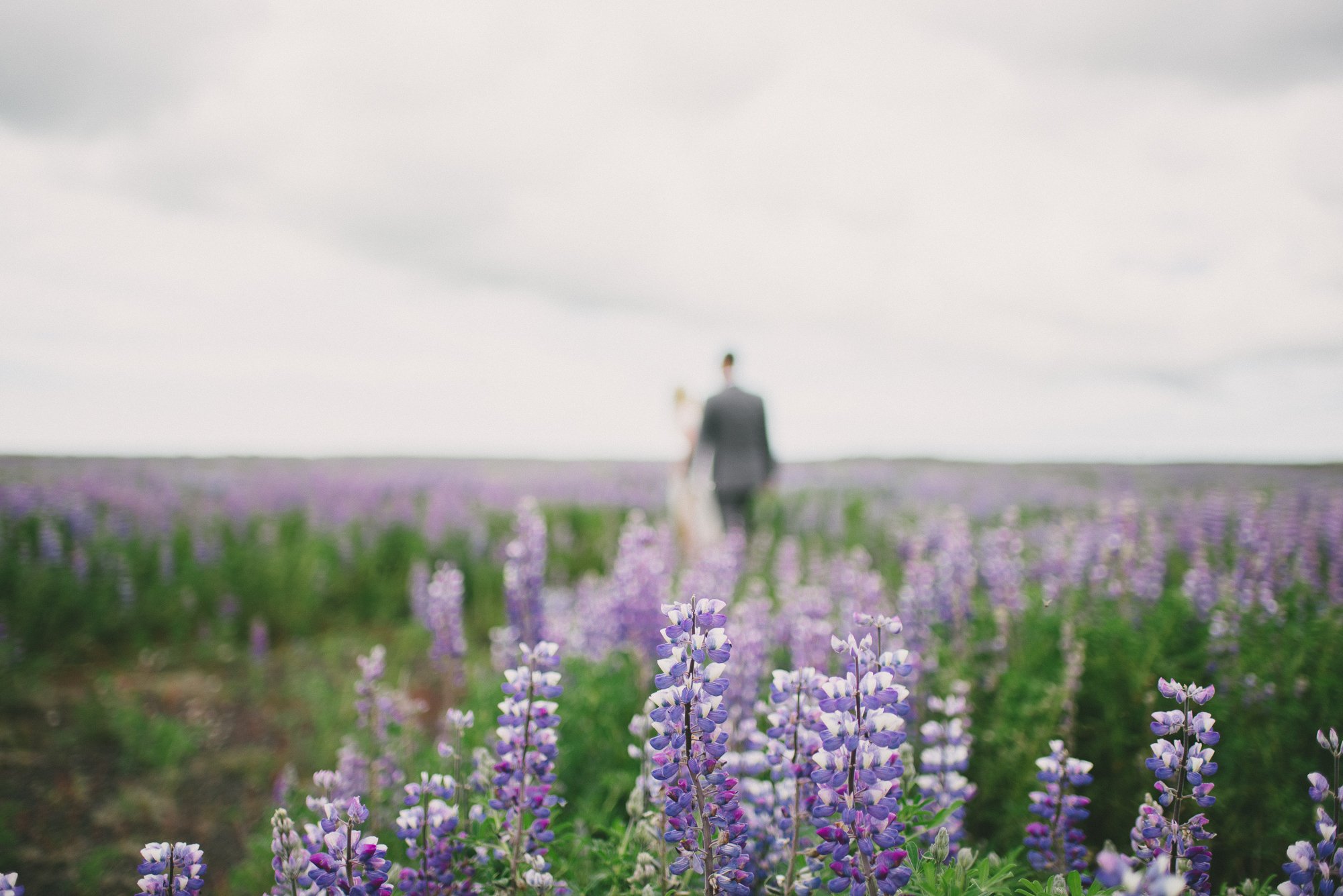 bride and groom iceland field