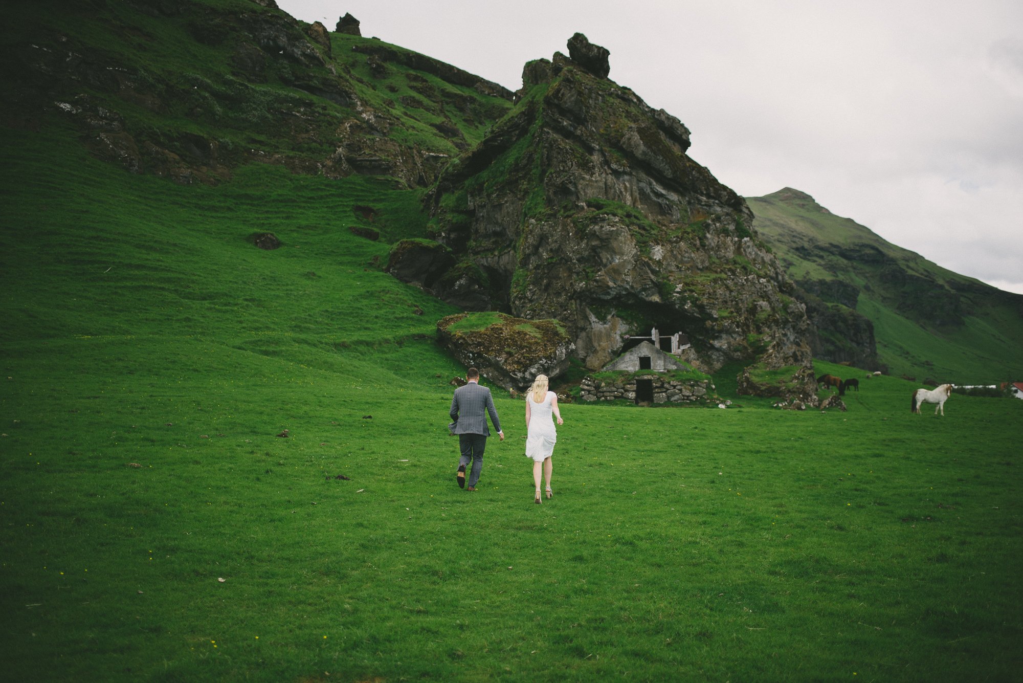 bride and groom iceland horses