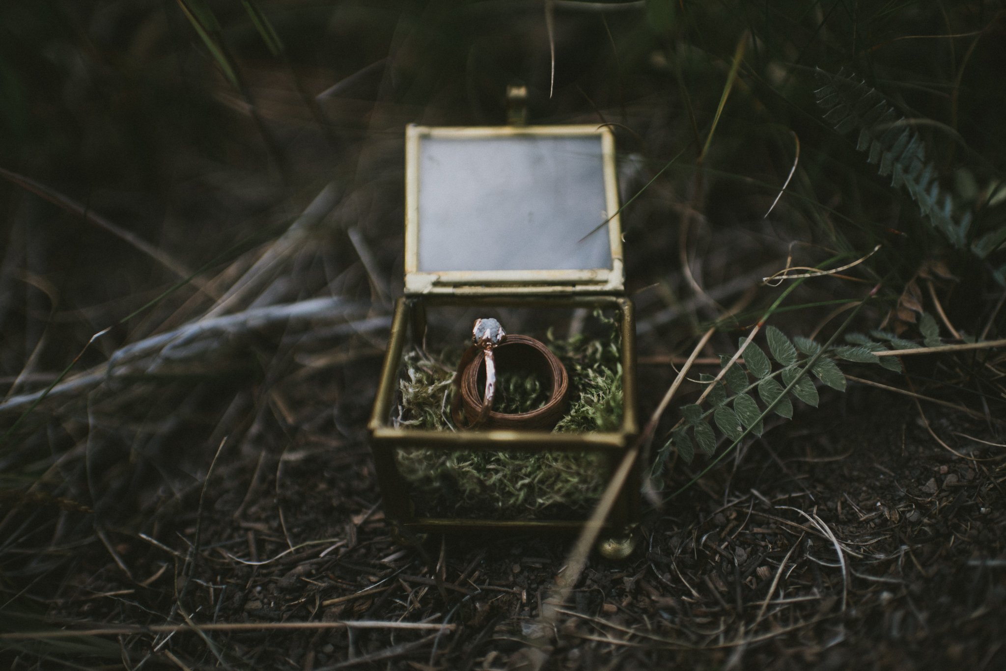 wedding engagement ring glass box forest kananaskis