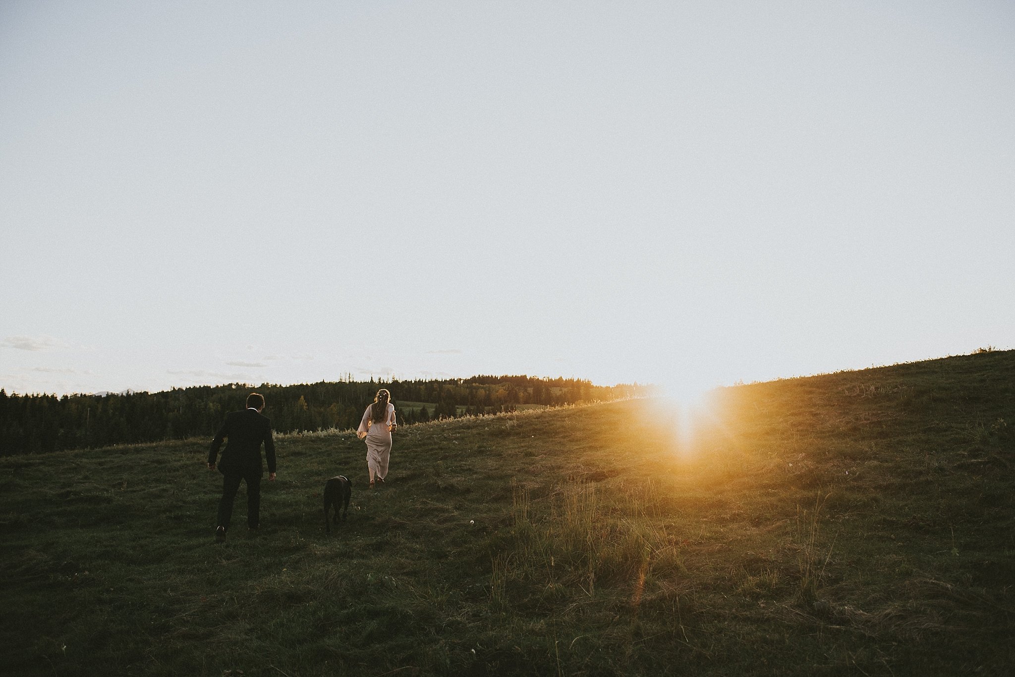 bride groom dog walk field sunset kananaskis