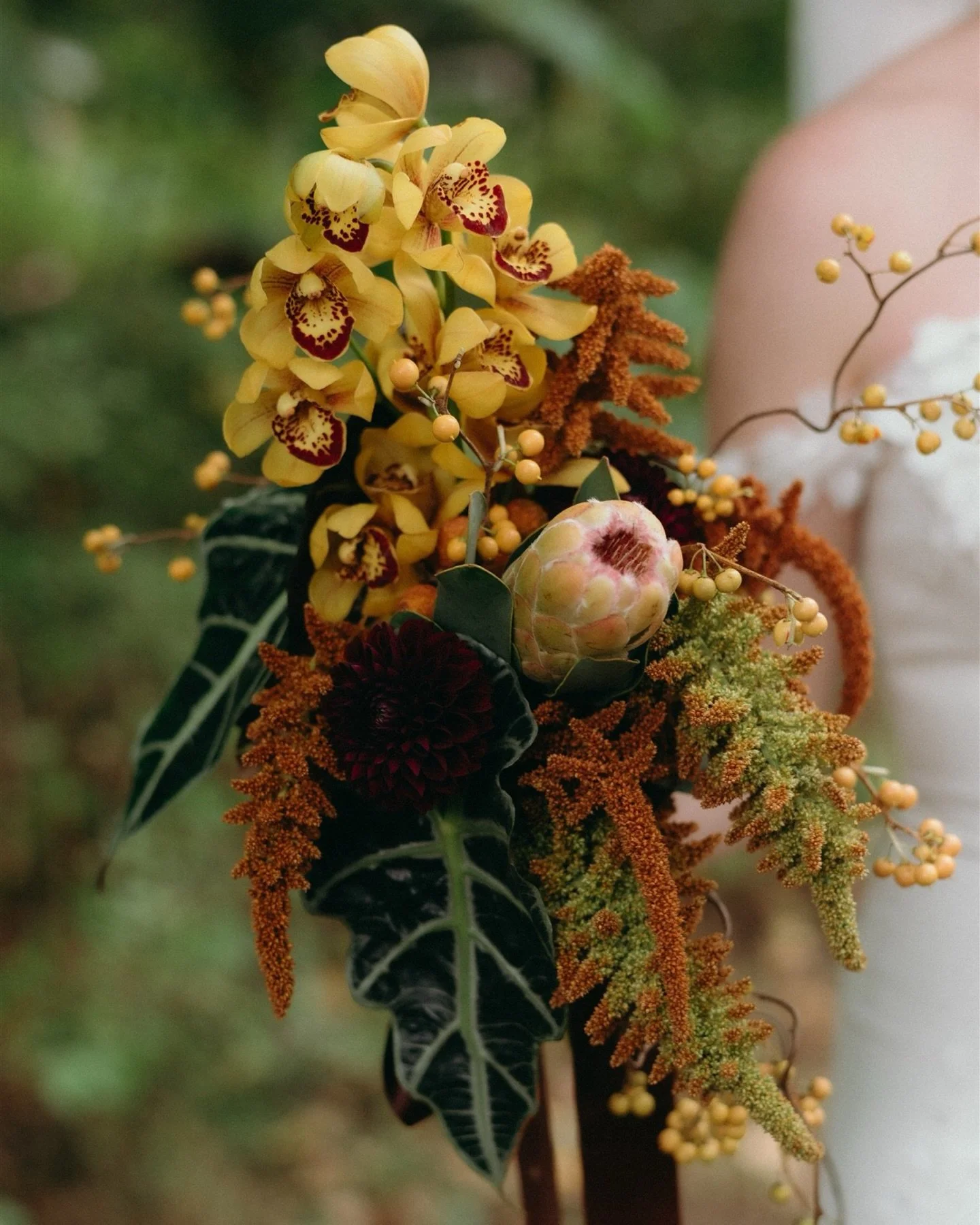 Fall at @sunwolfbc in Squamish always feels a little magic ✨

E+G found me through family, after I photographed the bride&rsquo;s cousin&rsquo;s wedding (I&rsquo;m looking at you M+C) and it never gets old being welcomed back into the same circle aga