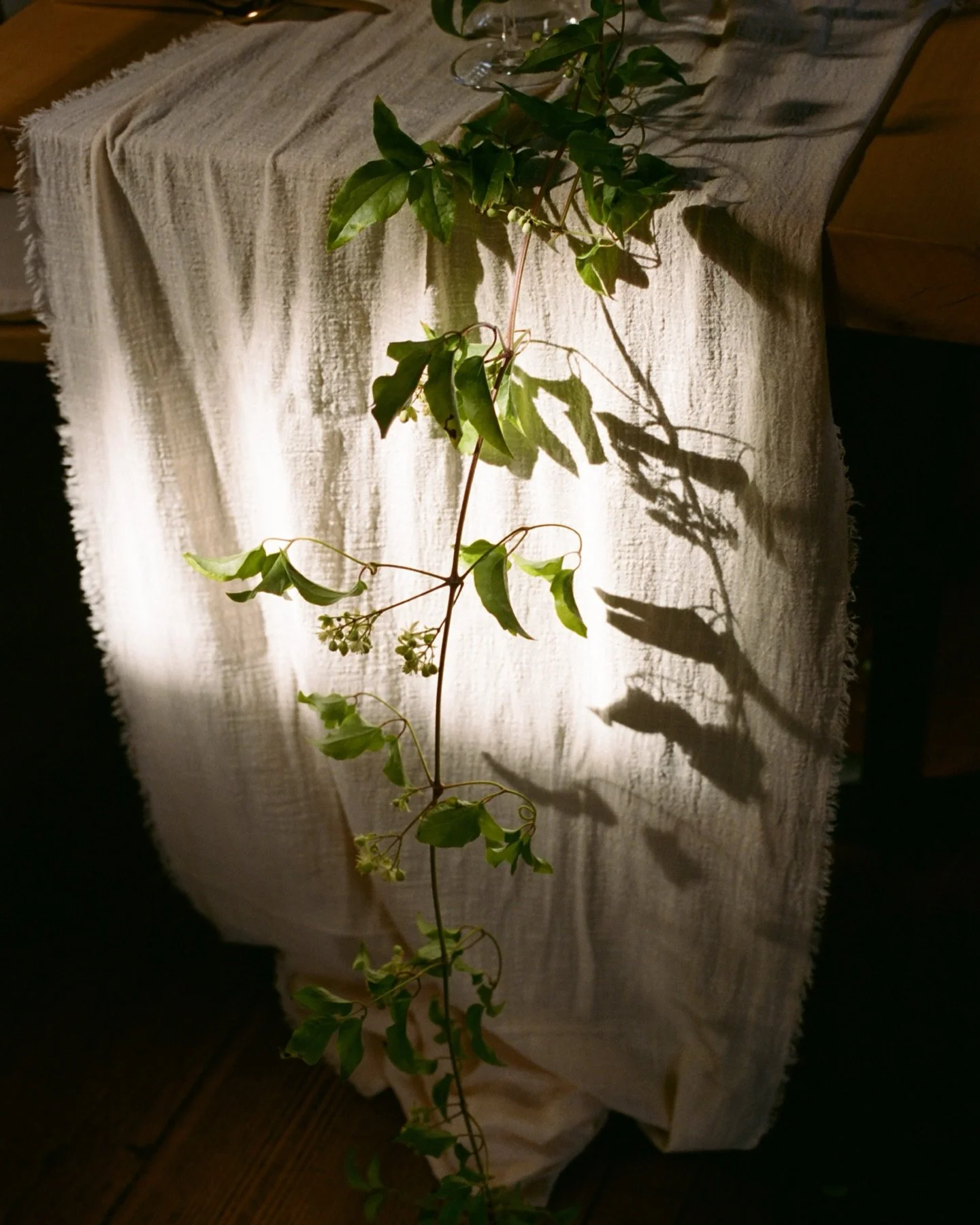 Why film? 🎞️ 

It&rsquo;s finicky as heck, expensive (like&hellip; burning money expensive), and film cameras break at the worst times (also expensive to fix 💸), so why bother?

Because it changes how I shoot.
1. It slows you down. You actually thi