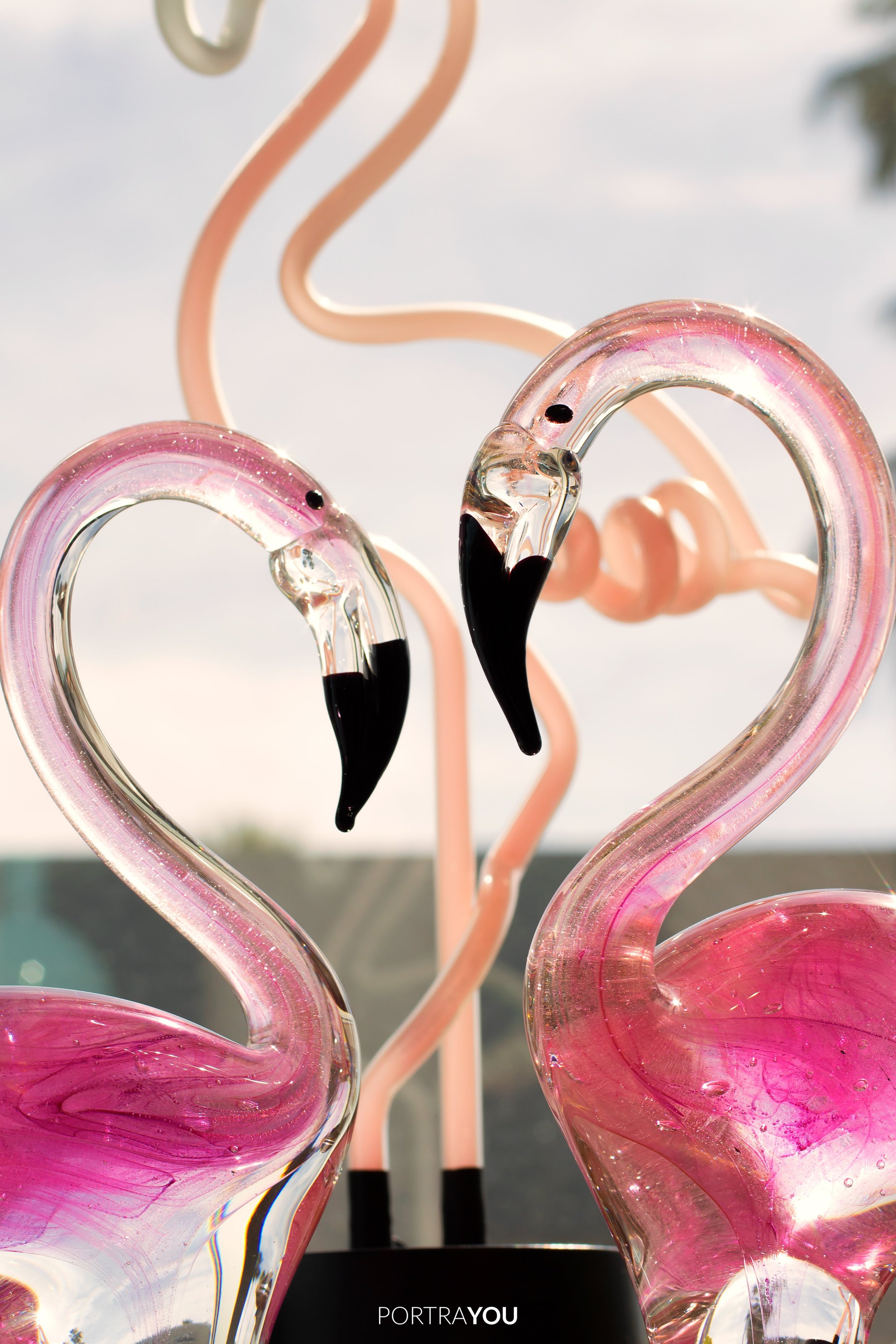 Editorial-photography-palmsprings_portrayou.com_8828.jpg