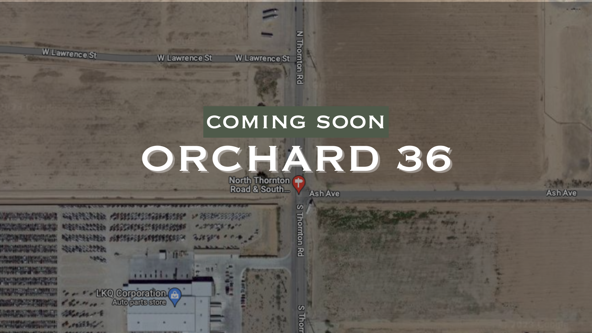 CP- orchard36.png