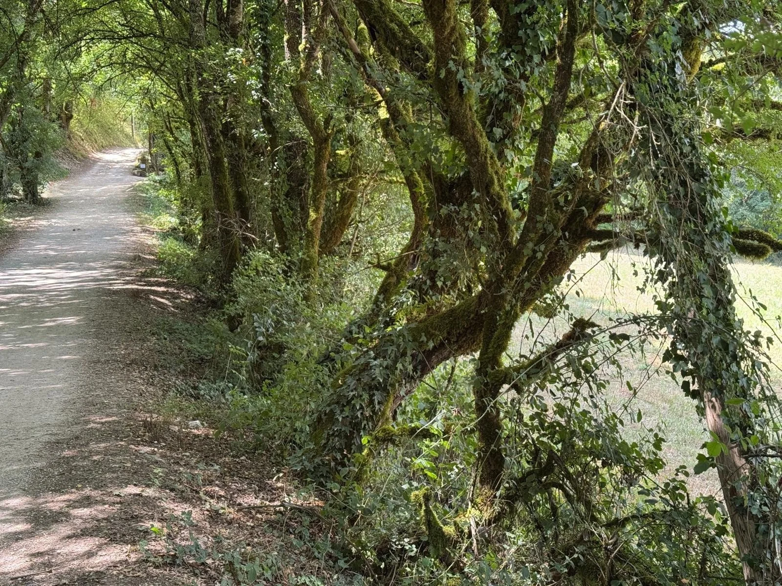 360b1da9-ac43-47c6-a7e1-3b47d5b17ee0 (1).jpg