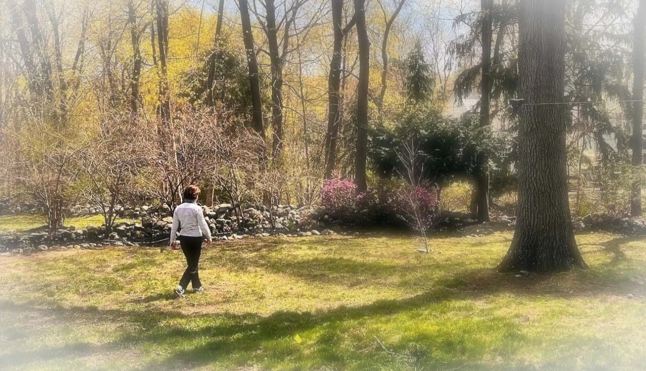 Painter and writer working between Boston and Southwest France, developing an authored practice of art contemplation.