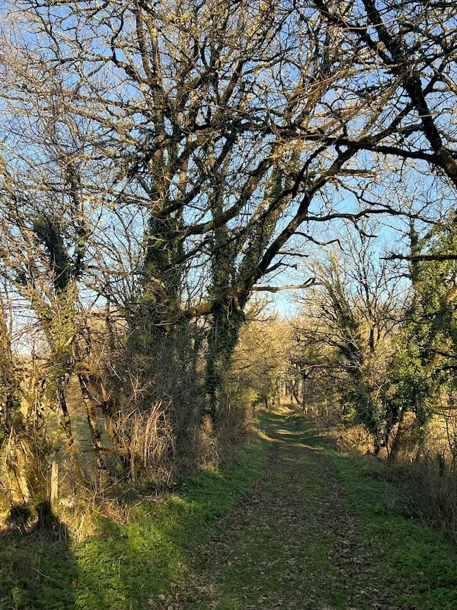 cow path closing.jpg