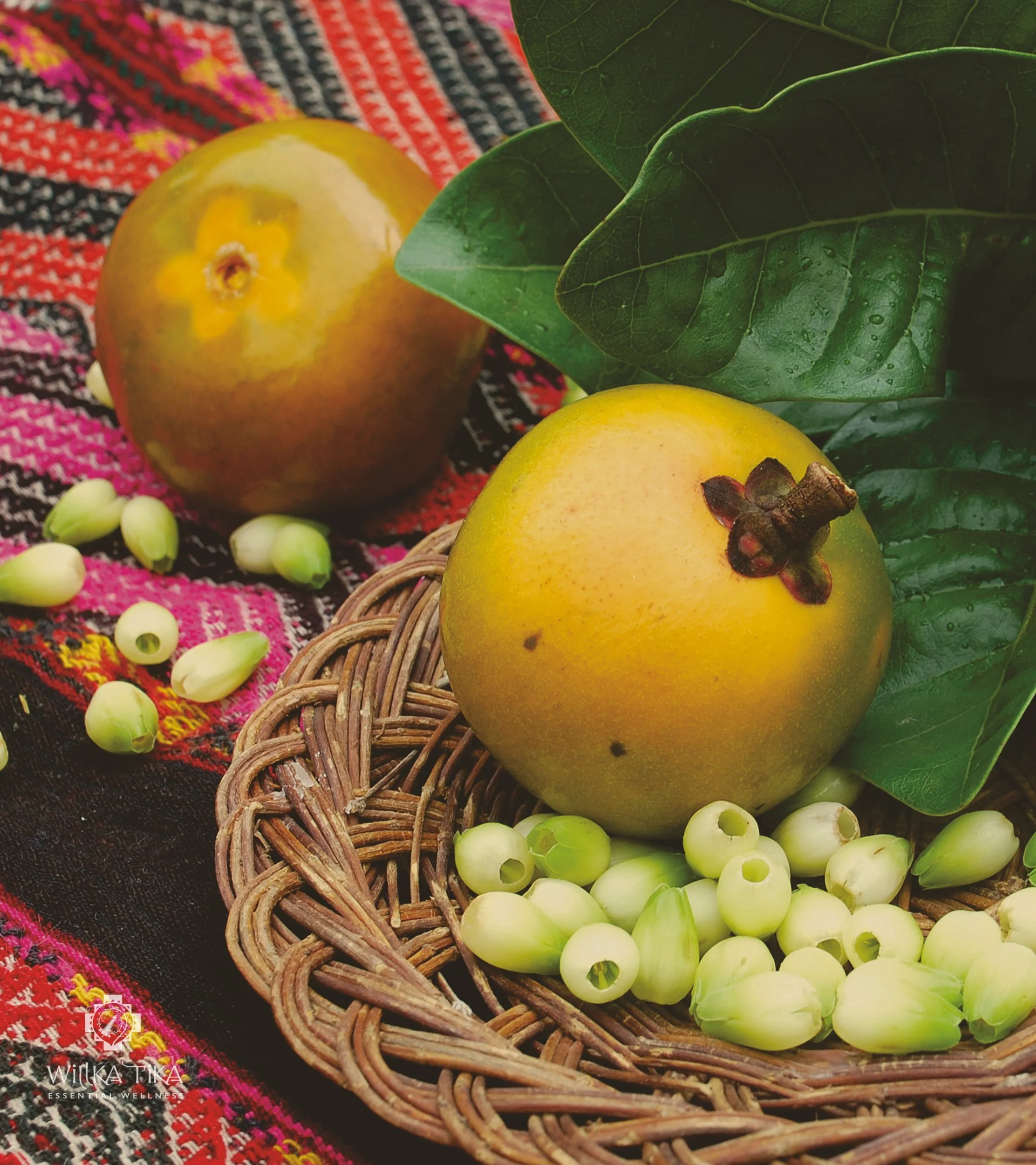 Lucuma fruit.jpg