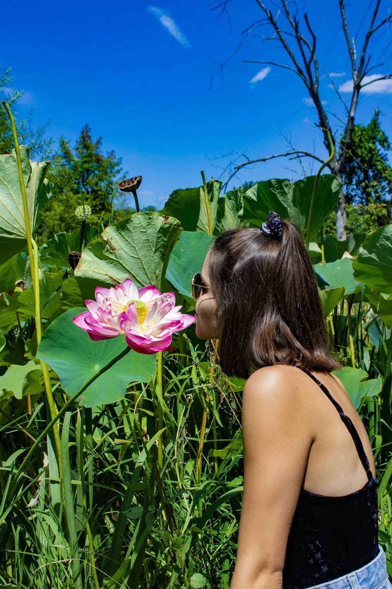 Kenilworth Park & Aquatic Gardens