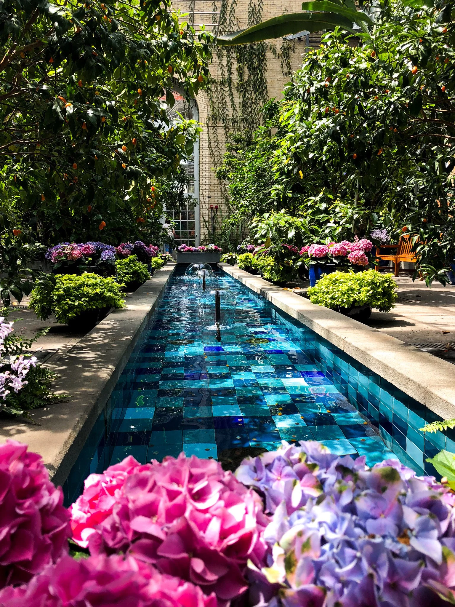 US Botanic Gardens