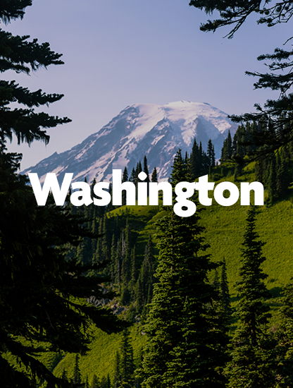 washington-state.png