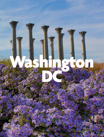 washingtondc.png