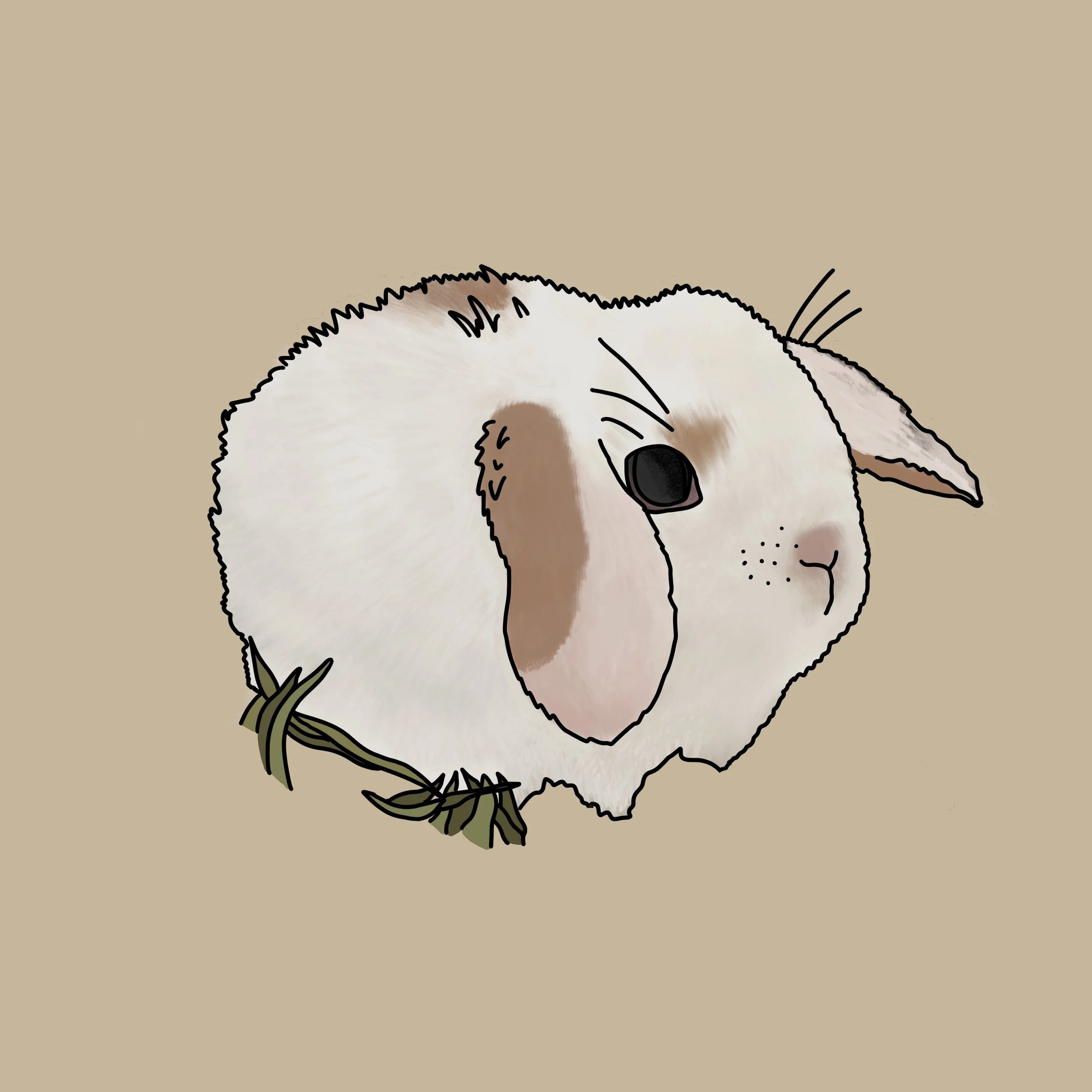 Untitled_Artwork 26.jpg