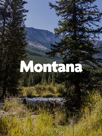 montana.png