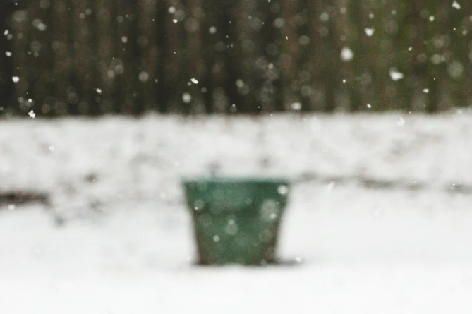Winter Composting: Keep Your Pile Active Year-Round