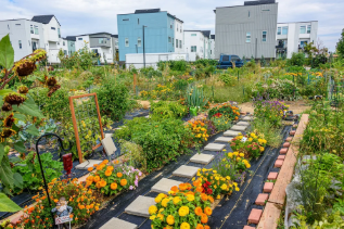 community garden compost law moves along