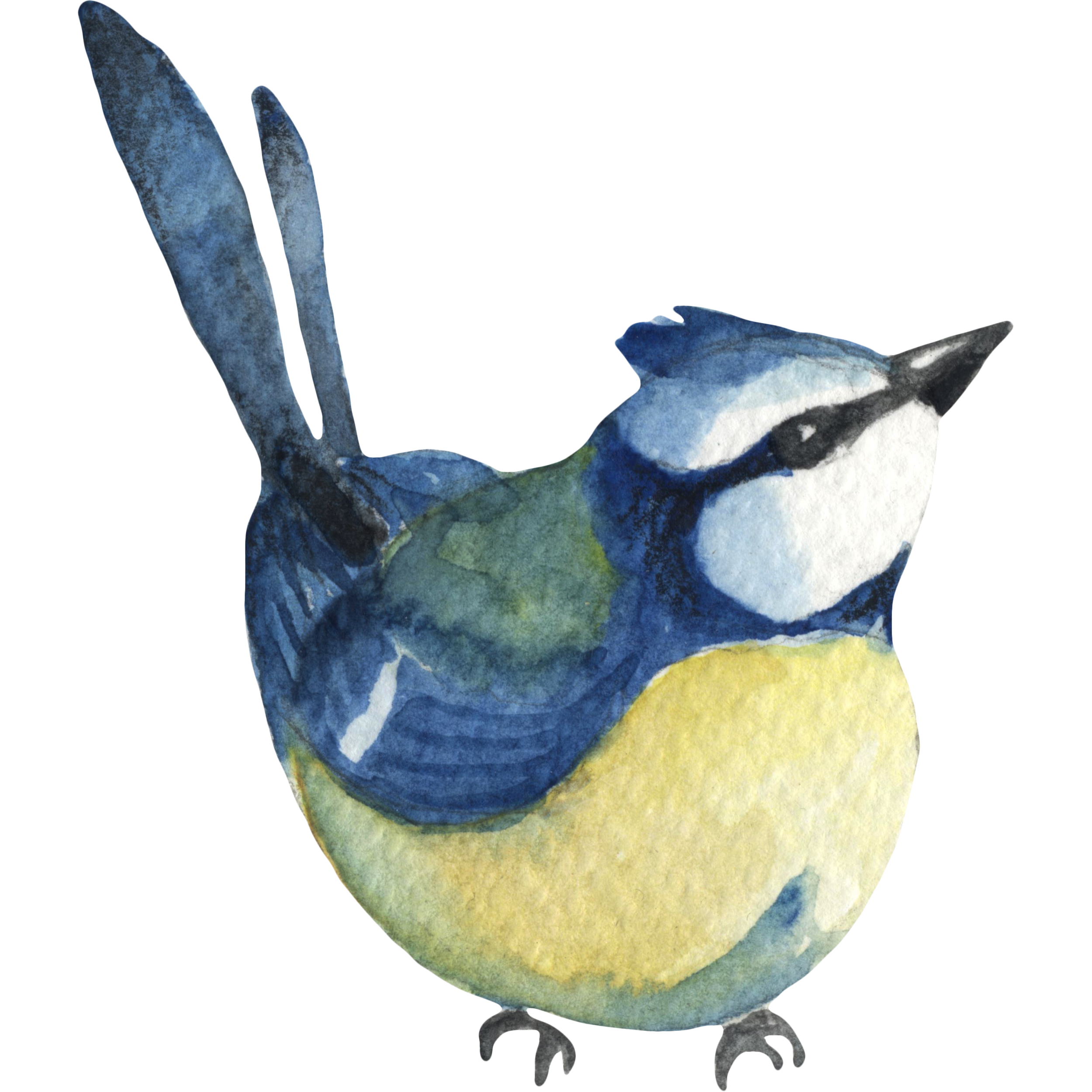 Watercolor bird